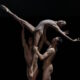 English National Ballet in R:Evolution