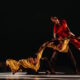 How are you? Tjimur Dance Theatre in bulabulay mun?