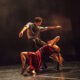 Yorke Dance Project: Modern Milestones