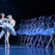 State Ballet of Georgia: Swan Lake