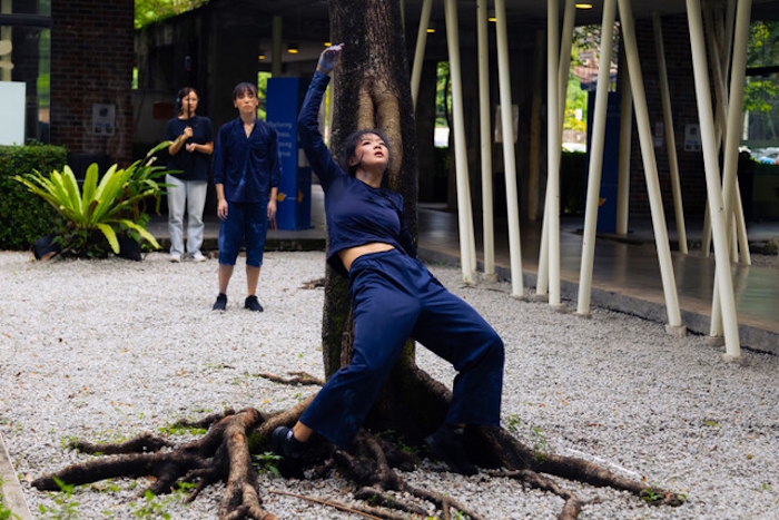 T.H.E Dance Company and Searching Blue (寻蓝): Drawing the Boundary