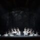 Birmingham Royal Ballet: Swan Lake