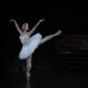 A beautiful spell. Birmingham Royal Ballet’s Swan Lake