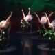 Waves of Korean Contemporary Dance